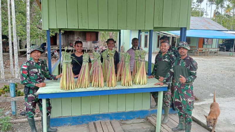 Tiba Musim Panen, Satgas Yonif 512/QY Kompak Bersama Masyarakat Panen Sayur Lilin