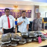 Pengembangan Kasus 9,6 Kg Ganja, Dir Narkoba Polda Papua : BK Ditetapkan Tersangka, Anak Mantunya Jadi DPO