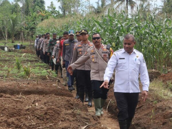 Program Presiden RI Terkait Ketahanan Pangan, Polres Yapen Tanam Bibit Jagung