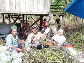 Polsek Muara Tami Polda Papua Sambangi Masyarakat Pemilik Dusun Pinang di Kampung Skouw Mabo