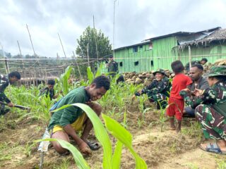 Perkuat ketahanan pangan, satgas yonif 512/QY kompak bersama masyarakat tanam jagung