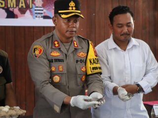 Polres Asmat Polda Papua Gelar Press Release Ungkap Kasus Perdagangan Ribuan Labi-Labi Moncong Babi