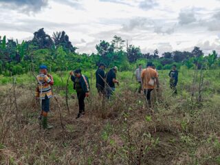 Pemuda Arso 11 Siap Kelola Lahan Pertanian Sayur untuk Dukung Program Makanan Bergizi Gratis