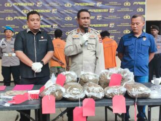 Tiga Tersangka yang Diamankan Karena Bawa Ganja 7,5 Kg, Seorang Diantaranya Adalah WNA Asal PN