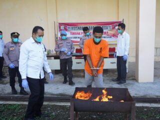 Polda Papua Barat Musnahkan Barang Bukti Ganja dengan Berat 112,4 gram