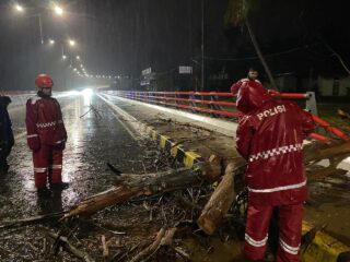 Personel Unit SAR Dit Samapta Polda Papua Lakukan Pembersihan Pohon Tumbang di Jembatan Merah
