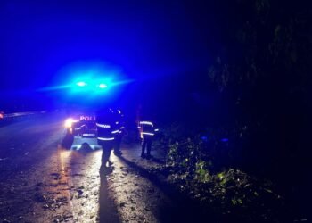 Aksi Cepat Personel Polda Papua Atasi Gangguan Akibat Angin Kencang