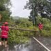 Ditsamapta polda papua lakukan pembersihan pohon tumbang di sejumlah titik kota jayapura
