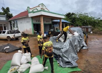 Polsek Muting Dukung Ketahanan Pangan Lewat Panen Jagung Binaan