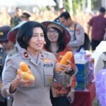 Tanam Jagung dan Panen Bersama Petani, Wujudkan Program Nasional Swasembada Bibit Dan Pangan Di Papua Barat