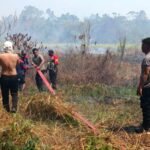 Dua Titik Karhutla Terdeteksi di Momiwaren, Polisi dan Tim Gabungan Lakukan Pemadaman
