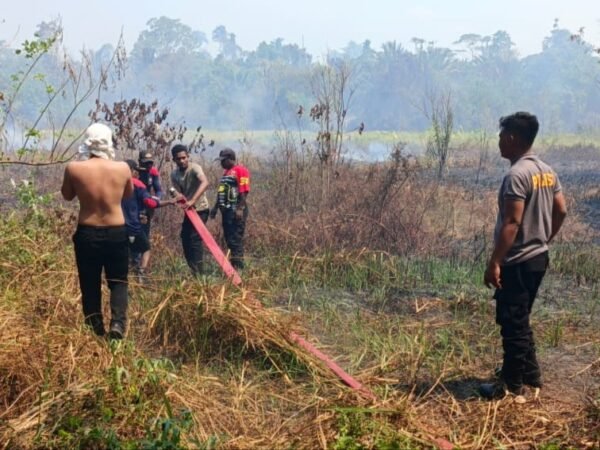 Dua Titik Karhutla Terdeteksi di Momiwaren, Polisi dan Tim Gabungan Lakukan Pemadaman